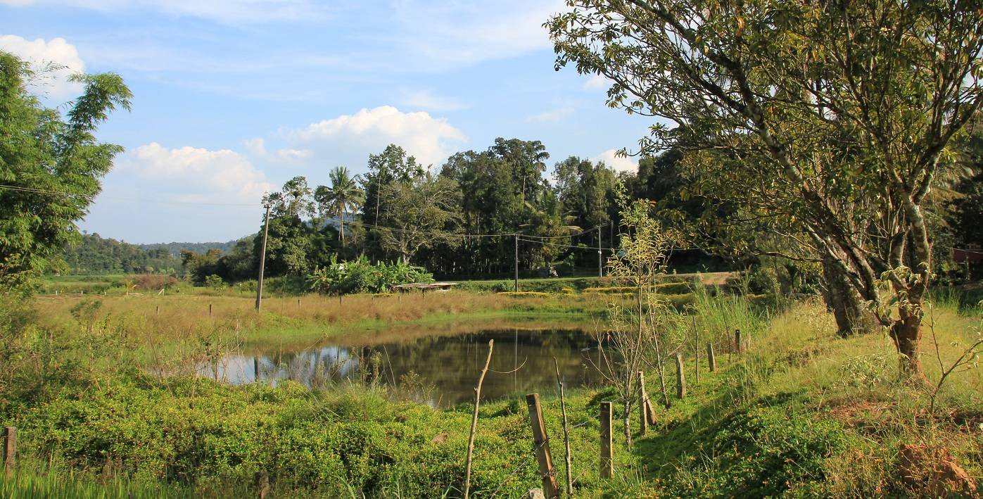 Red Hill Homestay